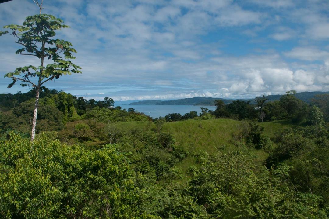 Photo of Others in Drake Bay