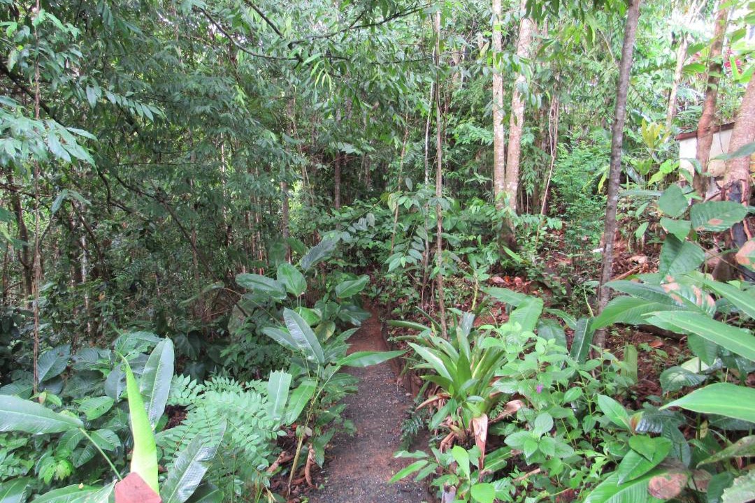 Photo of Others in Drake Bay