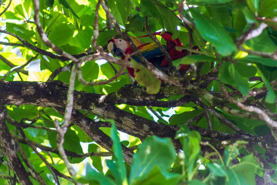 Photo of Others in Drake Bay