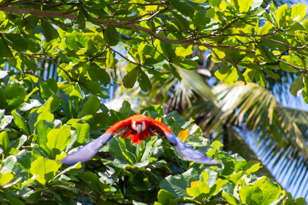 Photo of Others in Drake Bay