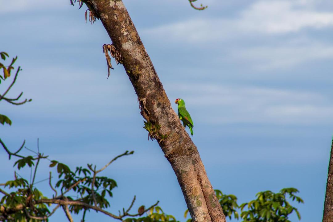Photo of Others in Drake Bay