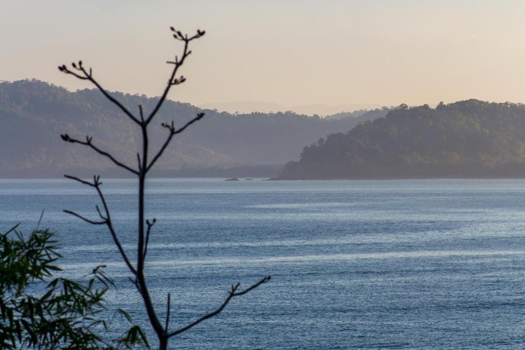 Photo of Others in Drake Bay