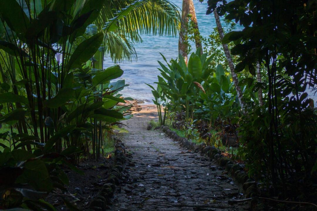 Photo of Others in Drake Bay