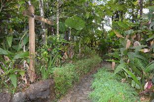 Photo of Others in Nasinu