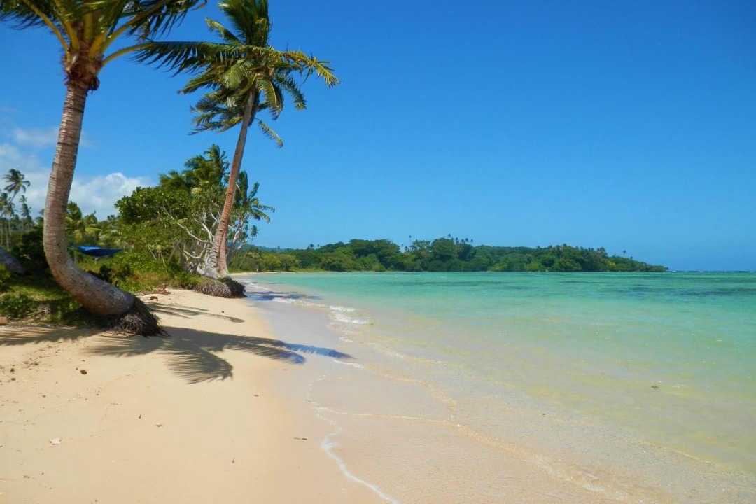 Photo of Others in Savusavu