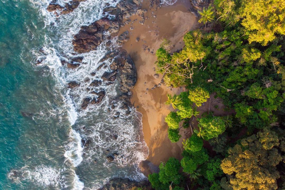 Photo of Others in Drake Bay