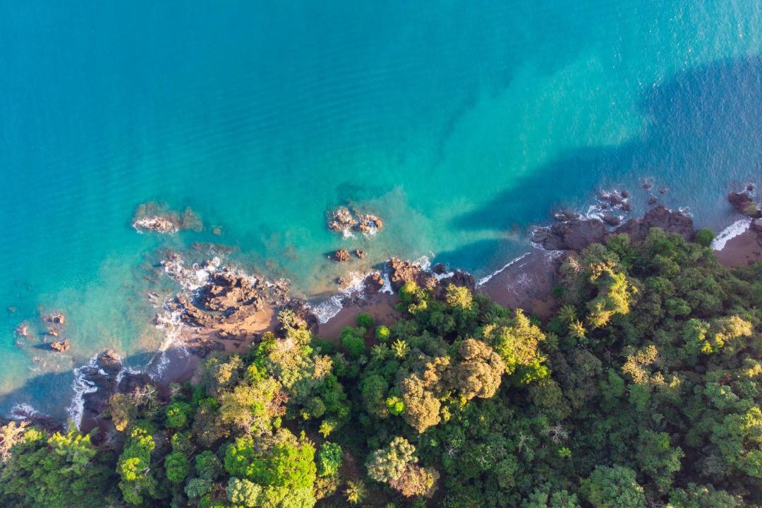Photo of Others in Drake Bay
