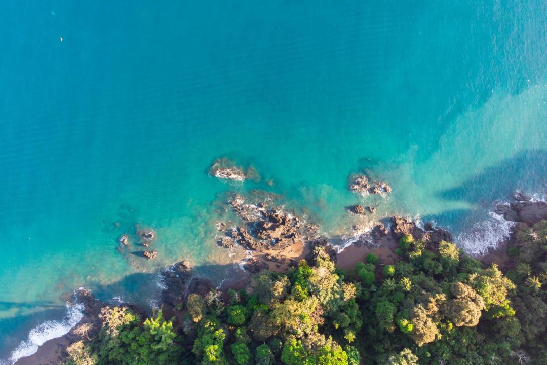 Photo of Others in Drake Bay