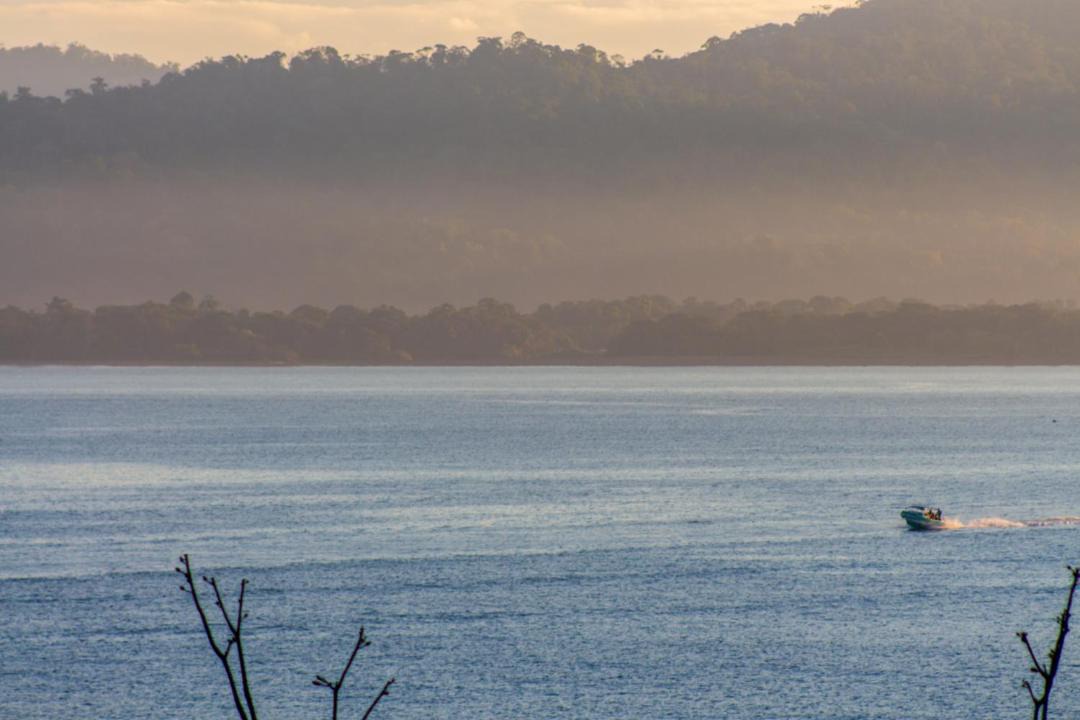 Photo of Others in Drake Bay