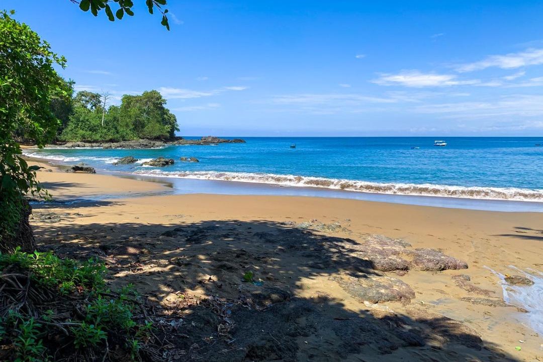Photo of Others in Drake Bay