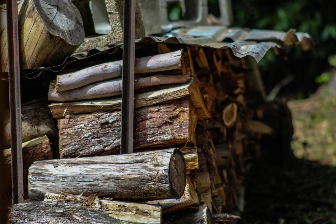 Photo of Others in Mount Tomah