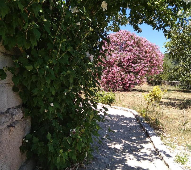 Photo of Others in Viseu