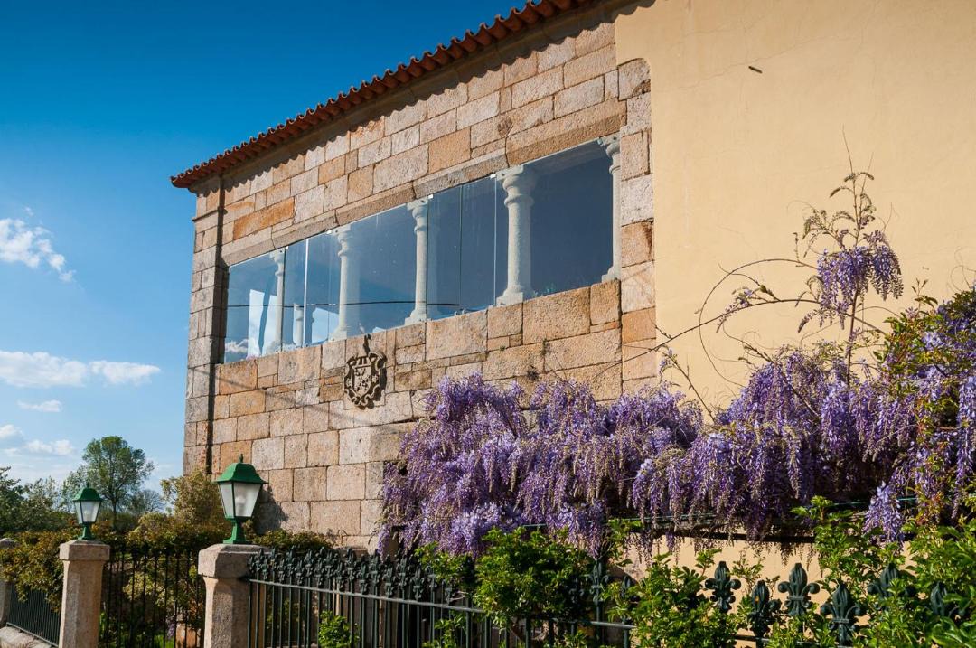 Photo of Others in Figueira de Castelo Rodrigo