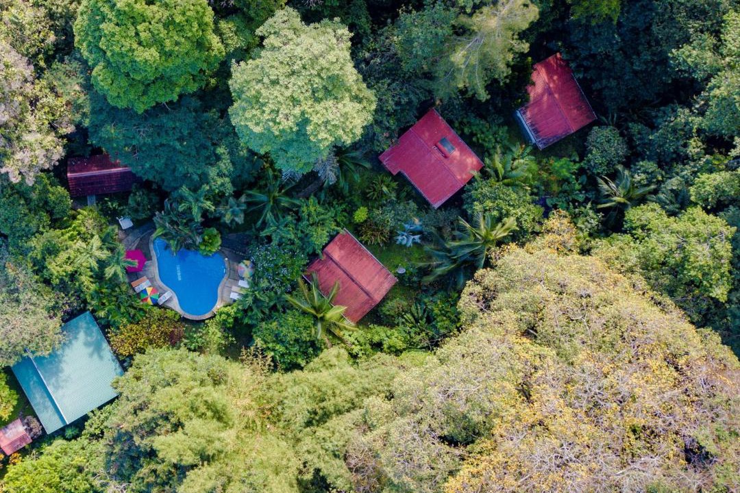Photo of Others in Cahuita