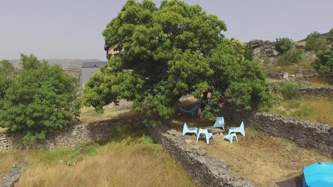 Photo of Others in Penhas da Saude
