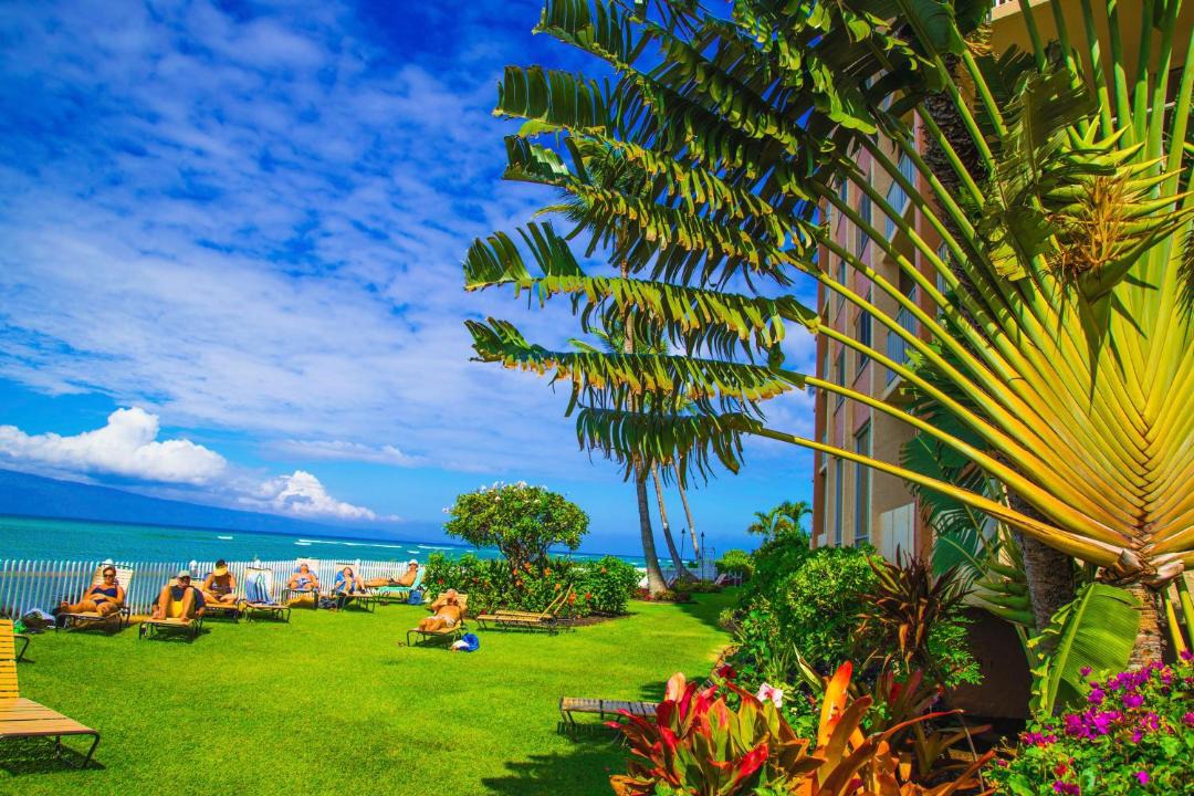 Photo of Others in Kahana