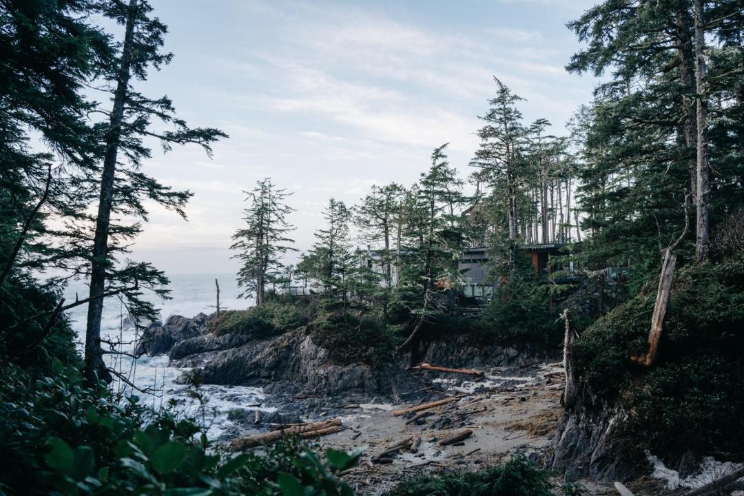 Photo of Others in Ucluelet