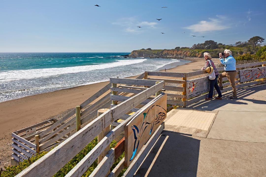 Photo of Others in San Simeon