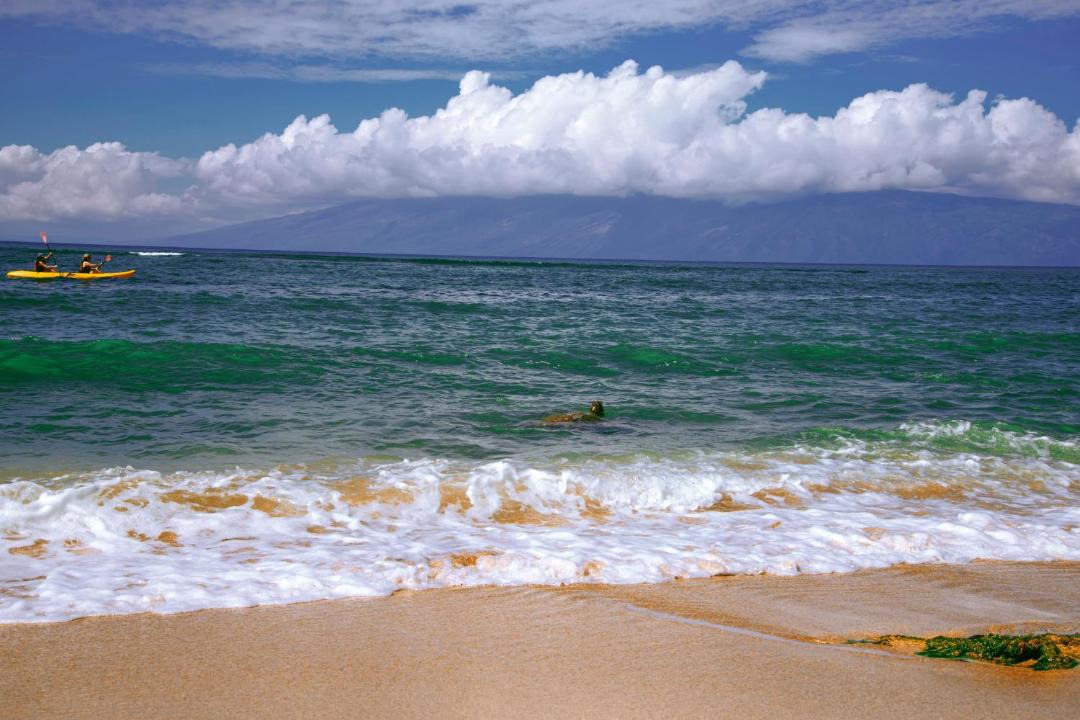 Photo of Others in Kahana