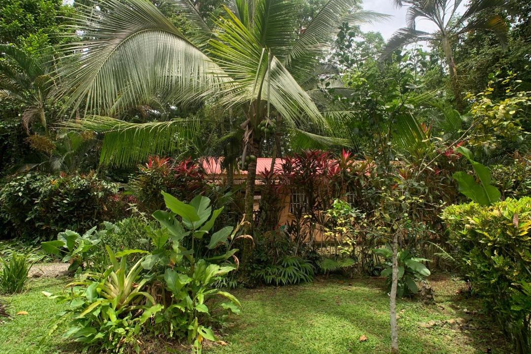 Photo of Others in Chiguata