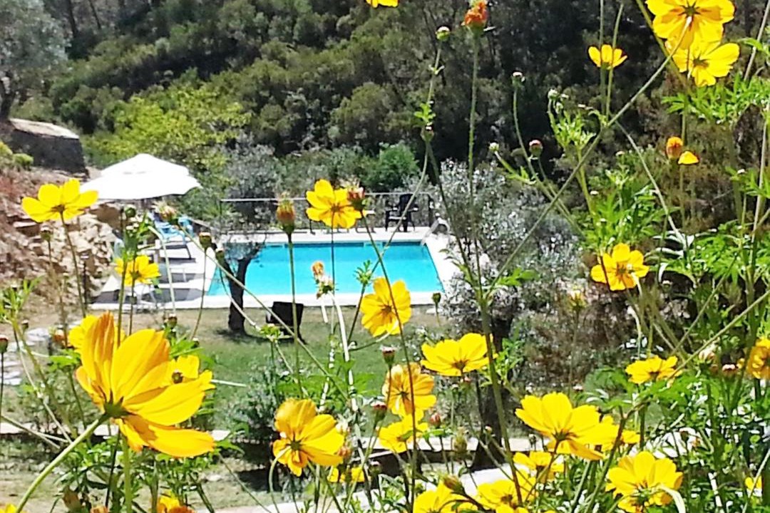 Photo of Others in Pampilhosa da Serra
