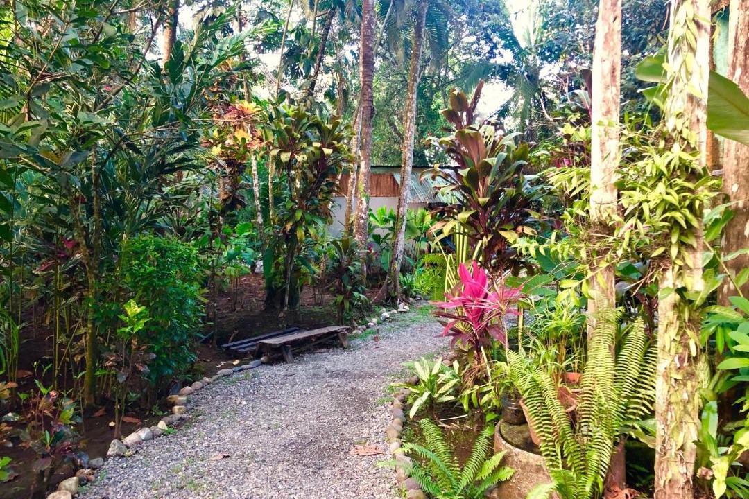 Photo of Others in Puerto Viejo de Talamanca