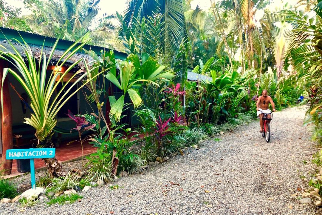 Photo of Others in Puerto Viejo de Talamanca