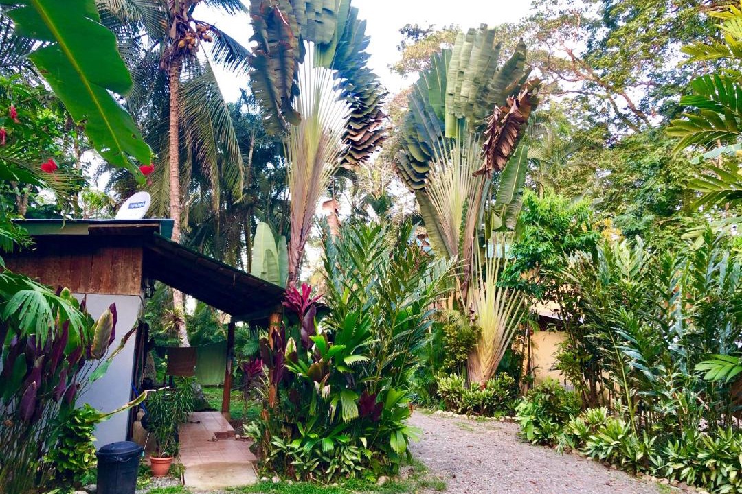 Photo of Others in Puerto Viejo de Talamanca