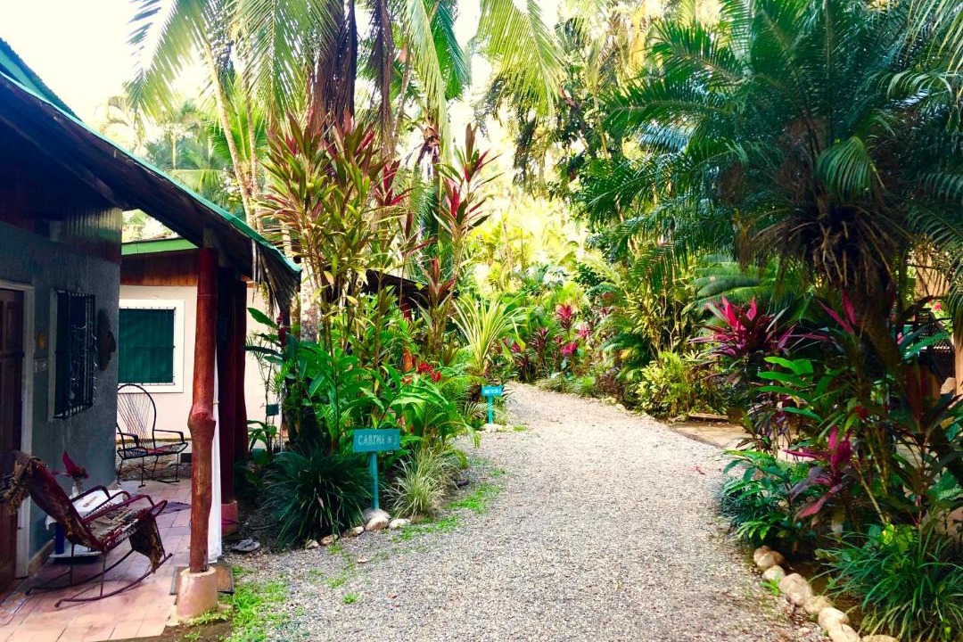 Photo of Others in Puerto Viejo de Talamanca