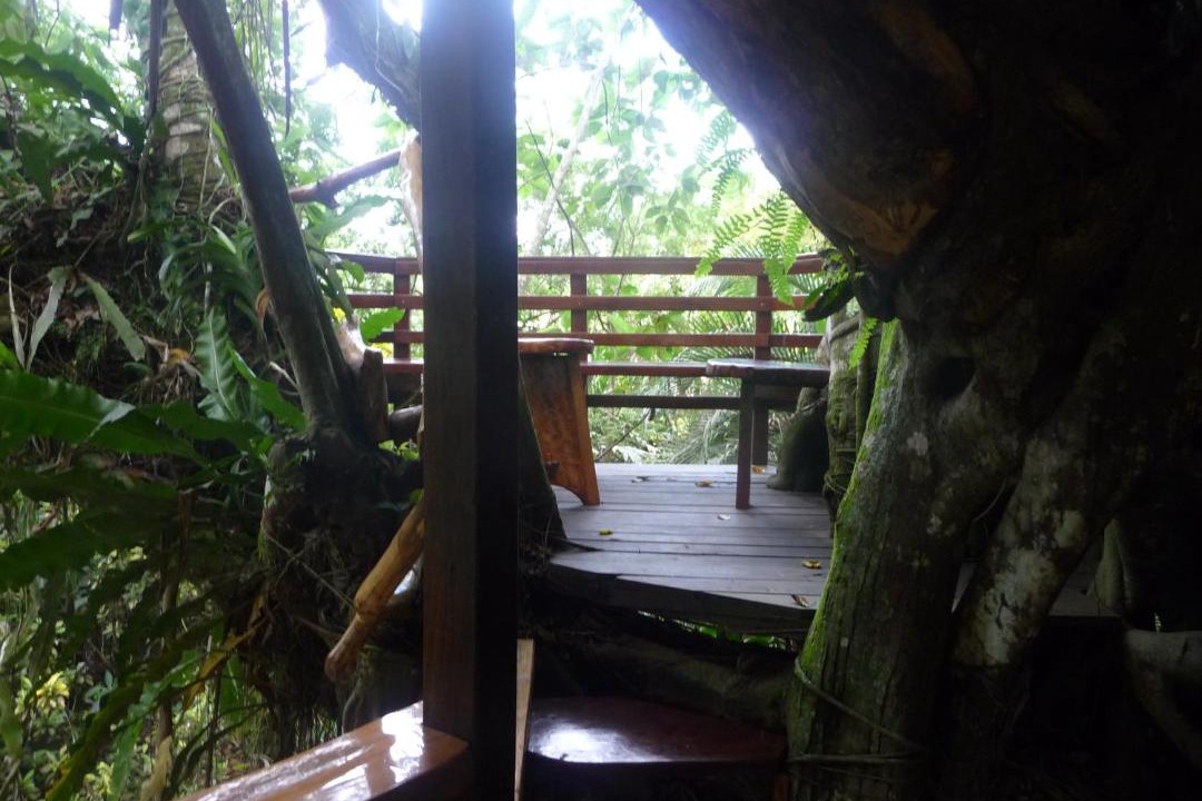 Photo of Others in Cahuita