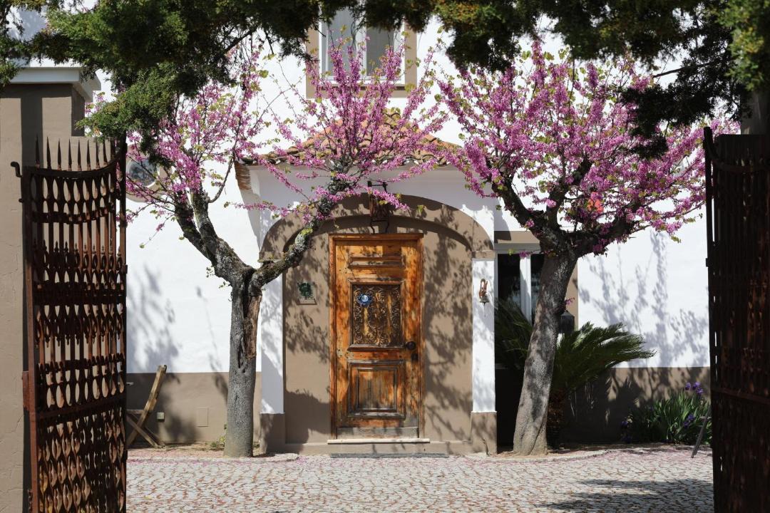 Photo of Others in Evora