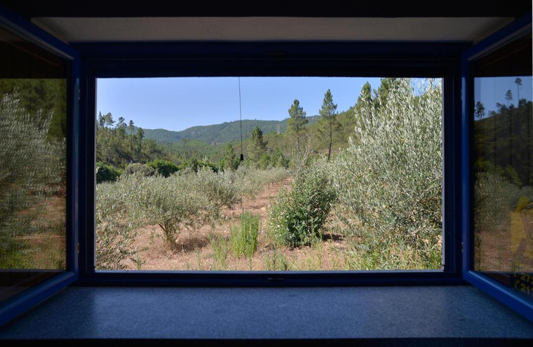 Photo of Others in Montes da Senhora