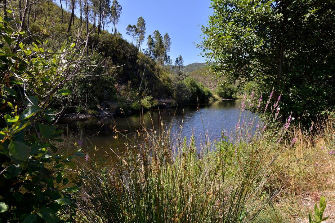 Photo of Others in Montes da Senhora