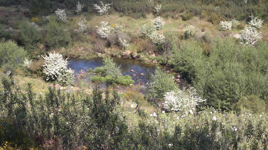 Photo of Others in Montes da Senhora
