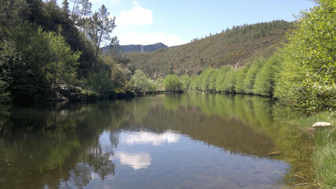 Photo of Others in Montes da Senhora