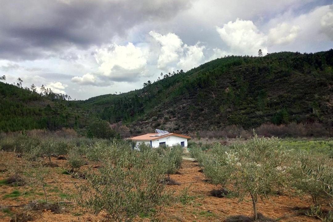 Photo of Others in Montes da Senhora