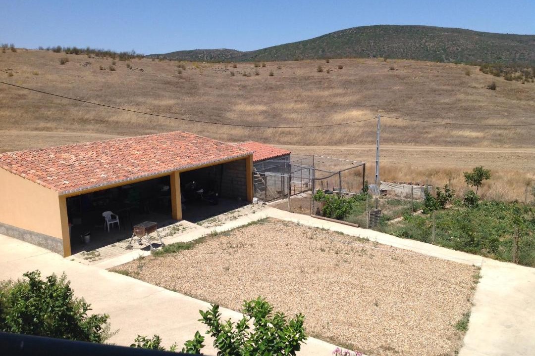 Photo of Others in Mertola