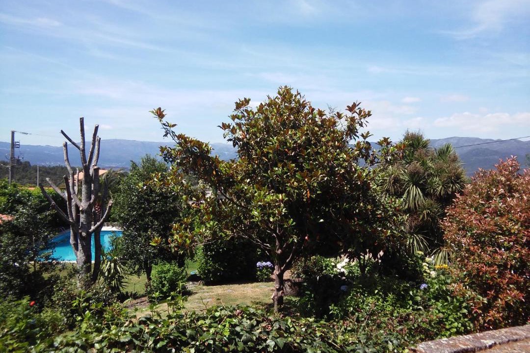 Photo of Others in Oliveira de Frades