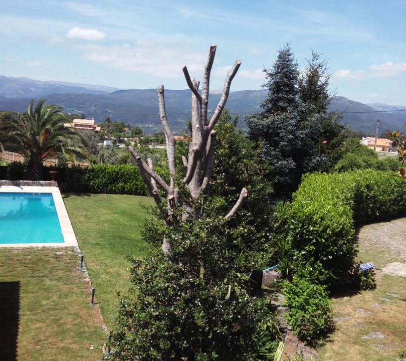 Photo of Others in Oliveira de Frades