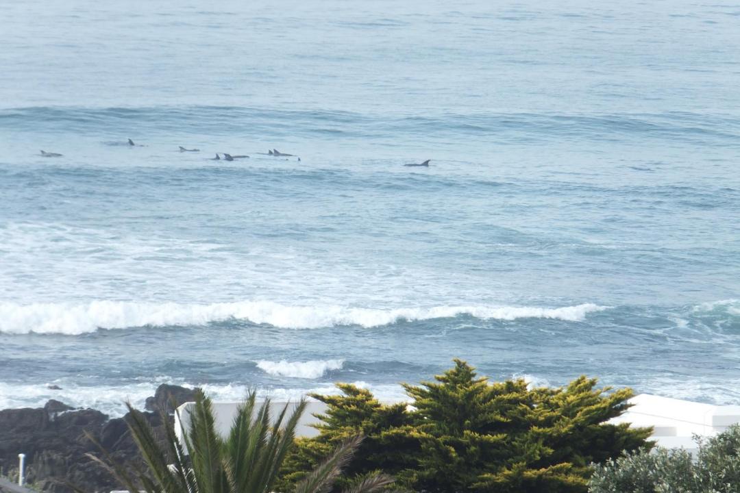 Photo of Others in Kini Bay