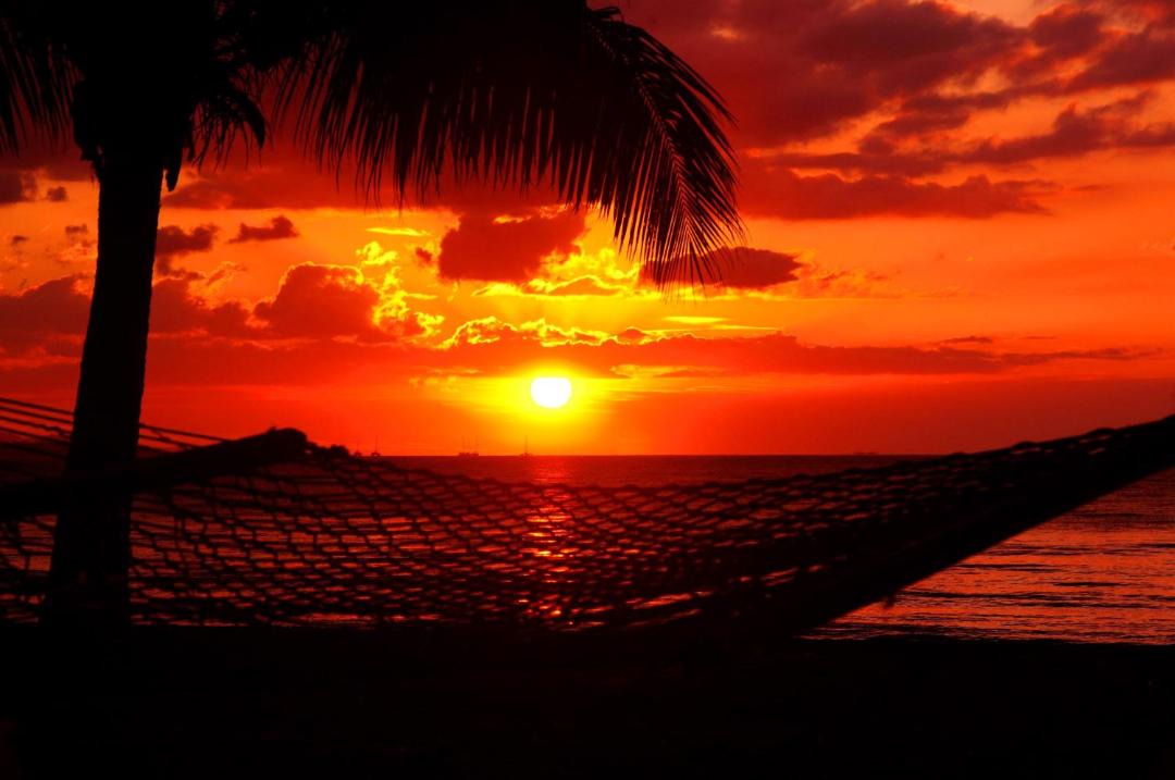Photo of Others in Wailoloa