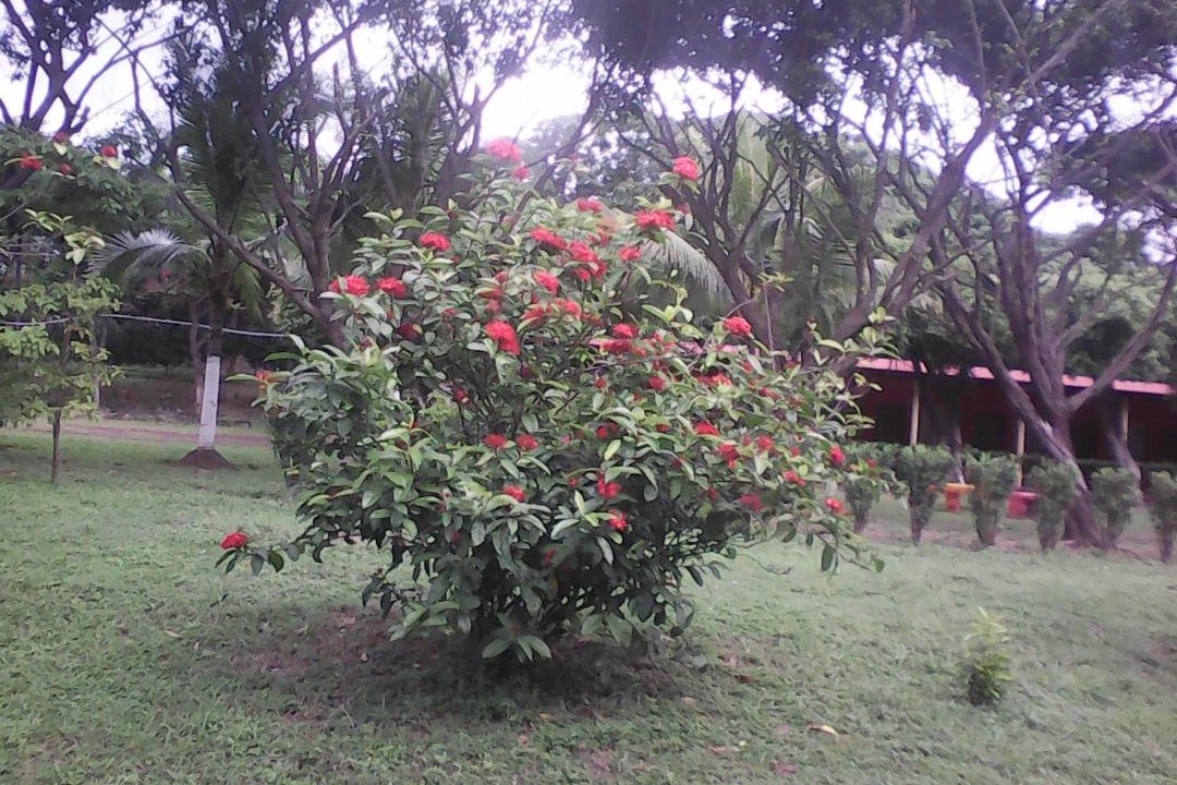 Photo of Outdoor in San Jorge