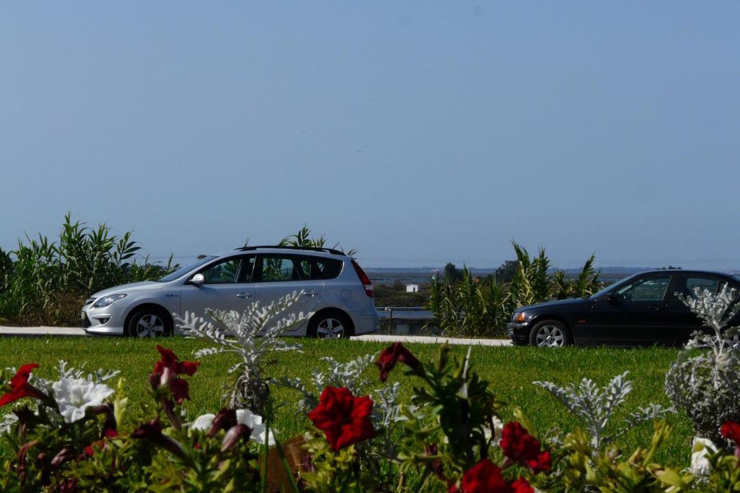 Photo of Others in Vera Cruz