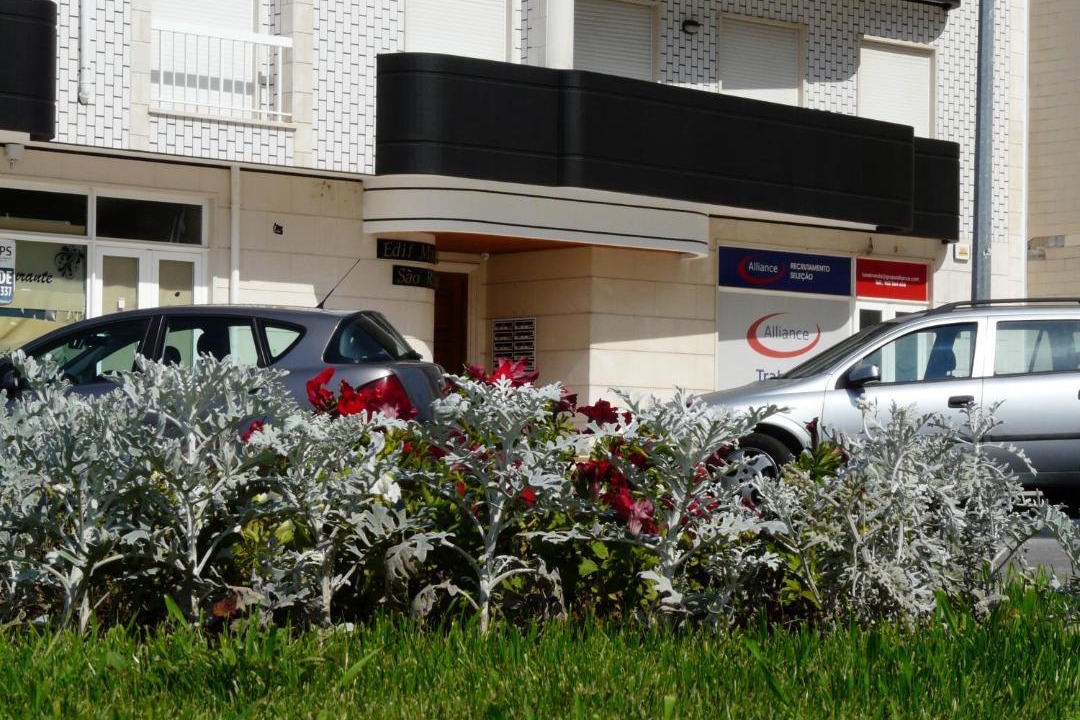 Photo of Buildings in Vera Cruz