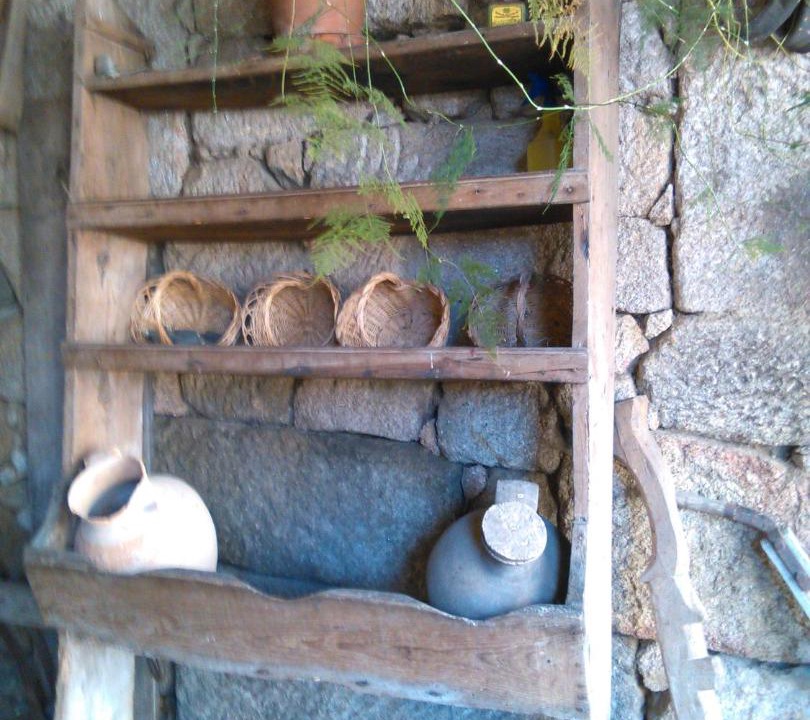 Photo of Others in Meda
