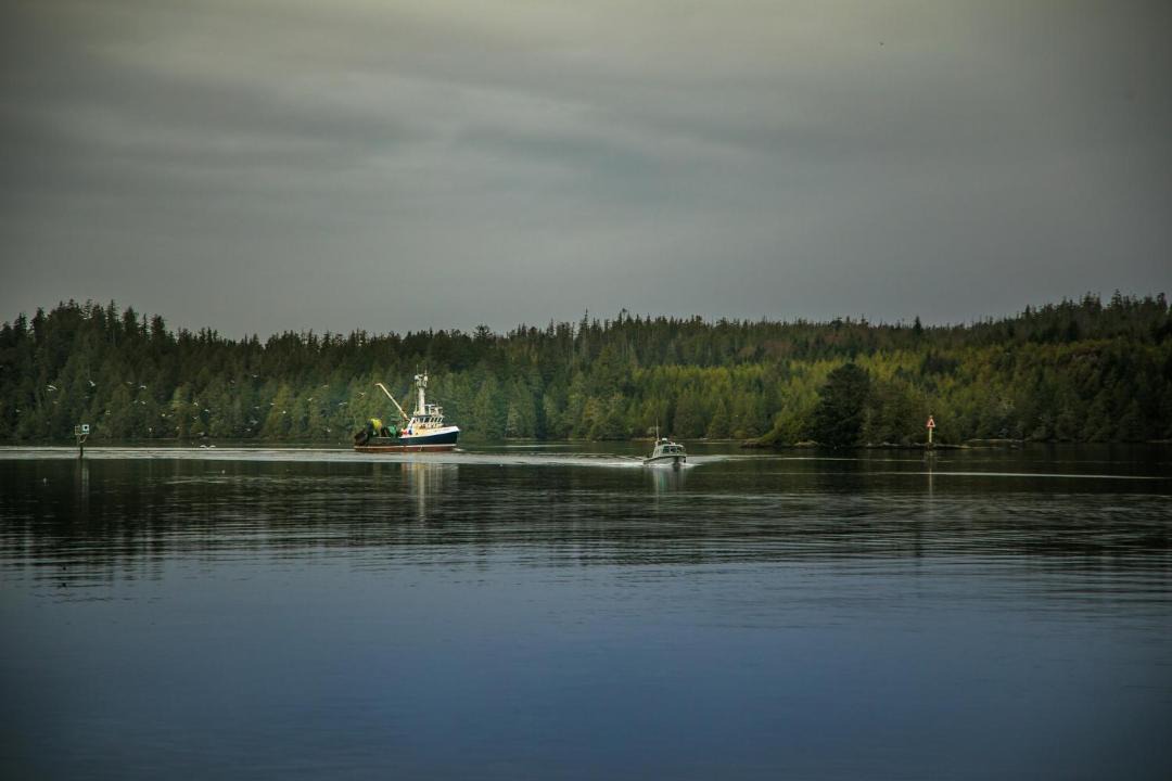 Photo of Others in Ucluelet