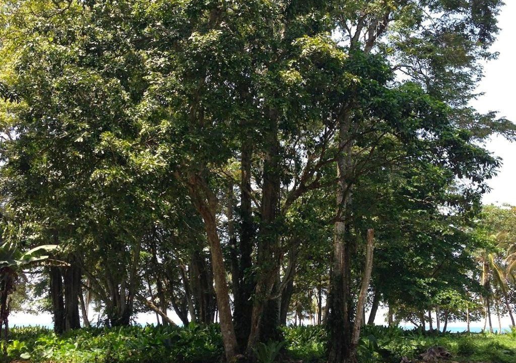 Photo of Others in Chiguata