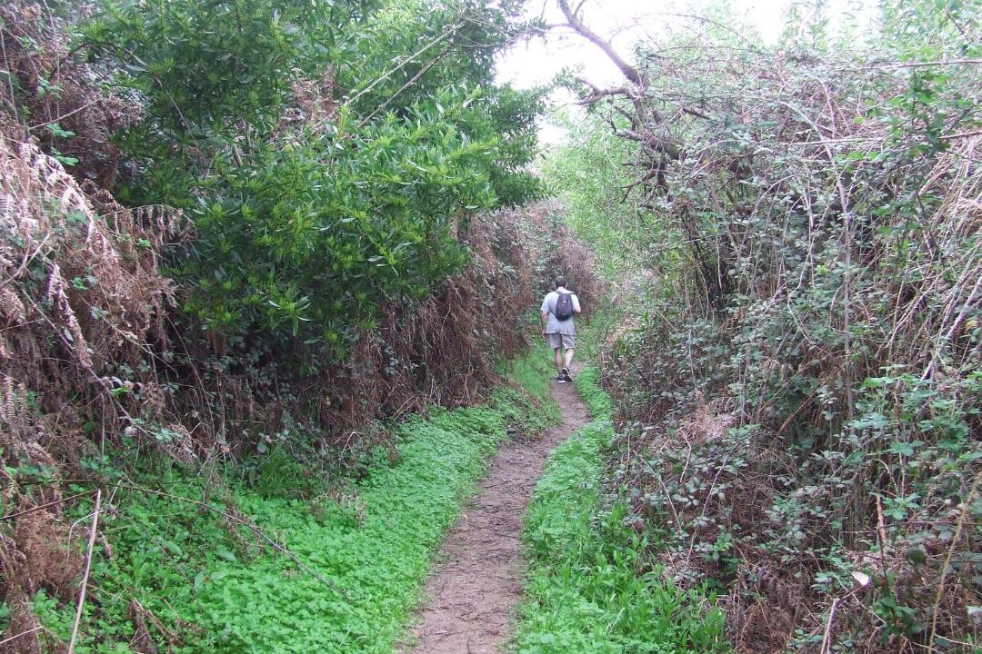 Photo of Others in Almograve