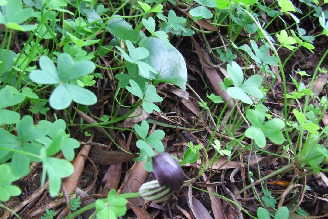 Photo of Outdoor in Almograve