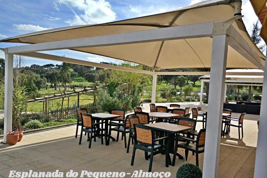 Photo of Others in Montemor-o-Novo